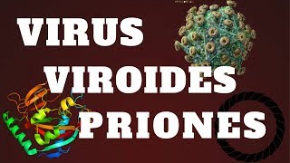 VIRUS VIROIDES Y PRIONES [upl. by Yrotciv157]