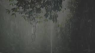 Sonidos de Lluvia y Truenos relajante para dormir 30 minutos [upl. by Enyleuqcaj191]