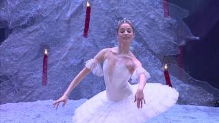 Pyotr Ilyich Tchaikovsky  Anna Nikulina  Dance of the Sugar Plum Fairy  2014 [upl. by Papagena92]