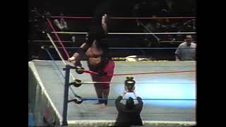 Undertaker vs Yokozuna WWF at MSG October 29th 1994 handheld [upl. by Eidde]