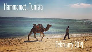 Hammamet Tunisia  February 2019 [upl. by Madai]