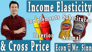 Cross Price Elasticity amp Income Elasticity [upl. by Airrotal]