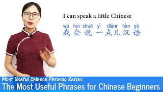 The Most Useful Phrases for Chinese Beginners  MUP 01  Mandarin Lessons [upl. by Akiemat973]