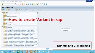 How to create Variant in sap [upl. by Teodorico384]