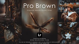 How to Edit Professional Photography  Lightroom Dark Brown Presets DNG amp XMP Free Download [upl. by Venn546]