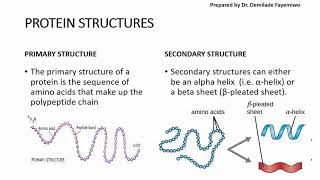 Chapter 23 Biological Molecules  Proteins [upl. by Nylkaj172]