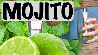 The Mojito Drink Recipe  Bartending Pro [upl. by Ariaes]