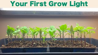 Grow Lights for Seed Starting [upl. by Nomaid480]