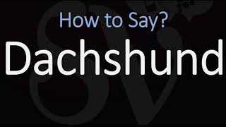 How to Pronounce Dachshund CORRECTLY Badger Dog name Pronunciation [upl. by Rodger176]