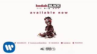 Kodak Black  Everything 1K Official Audio [upl. by Pearson430]