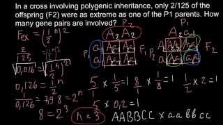 How to solve problems with polygenic inheritance [upl. by Htor]