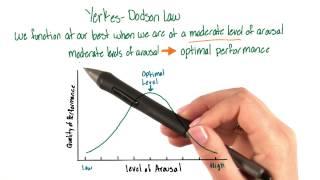 YerkesDodson law  Intro to Psychology [upl. by Rojas584]