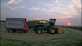 Chopping Triticale With A John Deere 6950 [upl. by Aikemot]