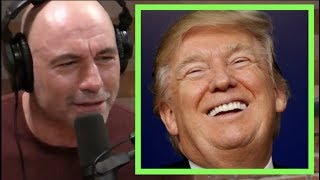 Joe Rogan  Why Donald Trump is Untouchable [upl. by Isman]