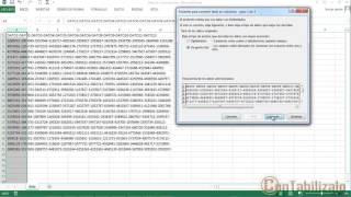 Separar Textos En Distintas Columnas de Excel [upl. by Juliann662]