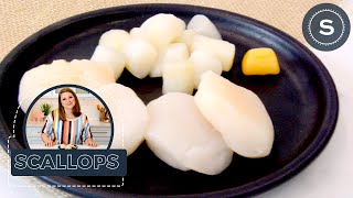 What Are Scallops How To Cook Perfect Scallops amp Scallop Recipes [upl. by Leacim]