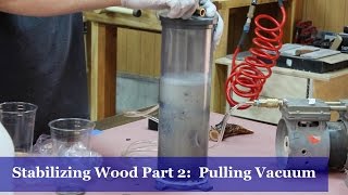 Stabilizing Wood Part 2  Pulling Vacuum [upl. by Shepperd]