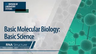 Basic Molecular Biology Basic Science – RNA Structure [upl. by Leihcar484]