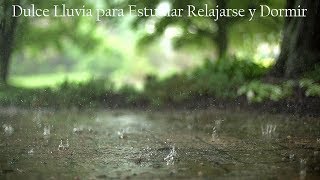 Lluvia Suave y Relajante • Alivia el Estrés y la Ansiedad para Dormir Profundamente • 6 Horas [upl. by Obidiah]