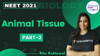 Animal Tissue  Part 2  NEET 2021  NEET Biology  Ritu Rattewal [upl. by Aitnis482]