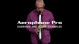 Roland Aerophone Pro Overview and Sounds [upl. by Tiossem386]