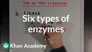 Six types of enzymes  Chemical Processes  MCAT  Khan Academy [upl. by Nam]