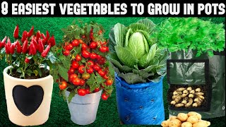 Top 8 Easy To Grow Vegetables For BeginnersSEED TO HARVEST [upl. by Beauregard869]