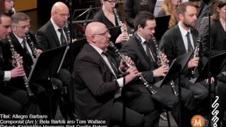 Allegro Barbaro  Bela Bartok arr T Wallace [upl. by Kowalski126]