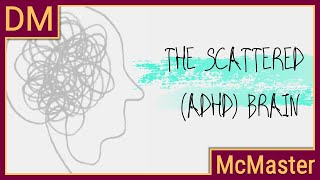 Understanding the scattered ADHD brain [upl. by Anihpesoj]