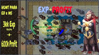 Tibia Hunt lvl 300 Ed e MS Werelion 3kk Exp  600k Profithr [upl. by Tavy]