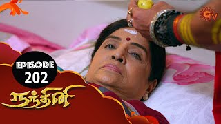 Nandhini  நந்தினி  Episode 202  Sun TV Serial  Super Hit Tamil Serial [upl. by Eizzo]