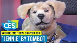 Tombot quotJenniequot Robotic Emotional Support Dog at CES 2020 [upl. by Aremus]