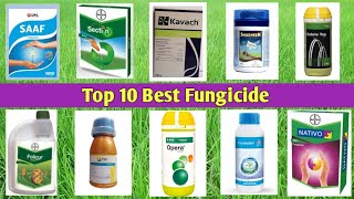 Top 10 Best Fungicide [upl. by Anirual]