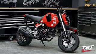 AllNew 2022 Honda Grom First Impressions [upl. by Benny]