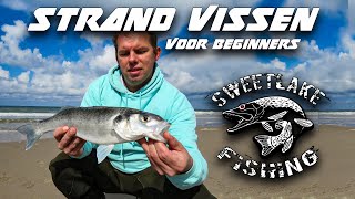 Strand vissen voor beginners  Zeebaars [upl. by Yrellav591]