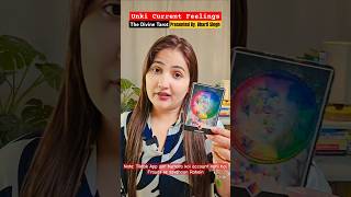 Unki current feelings today  Hindi Tarot  The Divine Tarot  Timeless [upl. by Eelirol252]