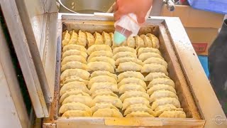 japanese street food  japanese dumplings GYOZA 餃子 [upl. by Rangel]