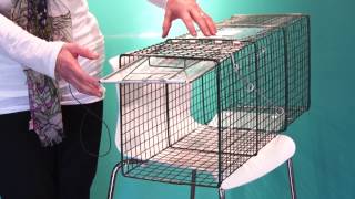 How to Set a Feral Cat Trap  Spay Neuter Charlotte [upl. by Tay]