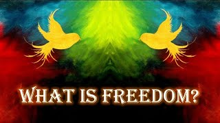 WHAT IS FREEDOM [upl. by Akirre508]