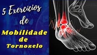 5 EXERCÍCIOS PARA MOBILIDADE DE TORNOZELO ANKLE MOBILITY [upl. by Yram661]