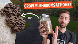 How To Get Started Growing Mushrooms At Home From EASY to HARD [upl. by Atsilac]