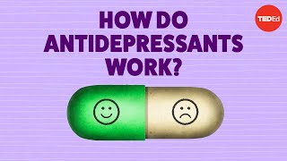 How do antidepressants work  Neil R Jeyasingam [upl. by Grefer247]