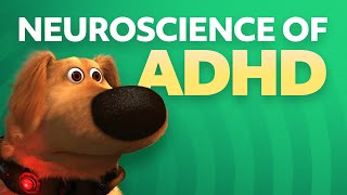 ADHD and Executive Function  Dr Russell Barkley  Child Mind Institute [upl. by Falk777]