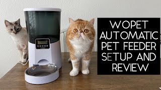 WOPET AUTOMATIC PET FEEDER SETUP AND REVIEW  SVEN AND ROBBIE [upl. by Mafalda]