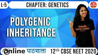 Biology Genetics Class 12  Polygenic Inheritance L5  NeetAiimsJipmer 2020 Syllabus [upl. by Meade]