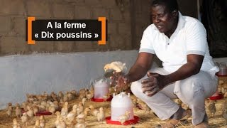 Burkina Faso  A la ferme « Dix poussins » [upl. by Clarise]