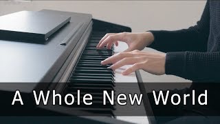 Aladdin  A Whole New World Piano Cover by Riyandi Kusuma [upl. by Ecirum758]