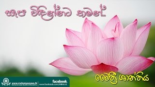 මෛත්‍රී ශාන්තිය  Ven Kiribathgoda Gnanananda Thero [upl. by Cannice]