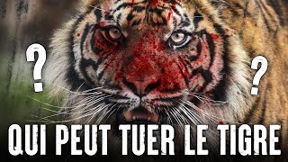 5 ANIMAUX qui pourraient VAINCRE un TIGRE [upl. by Higbee56]