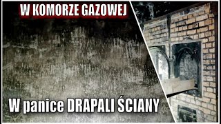 Auschwitz  Piece krematoryjne Komora gazowa Ściana straceń [upl. by Narot]